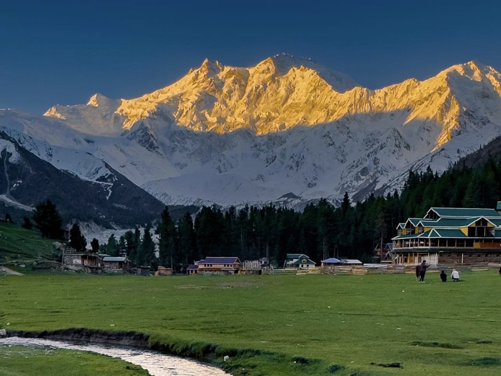 Nanga Parbat glowing gold at sunset above the pine forest and wooden lodges of Fairy Meadows, with a stream in the meadow