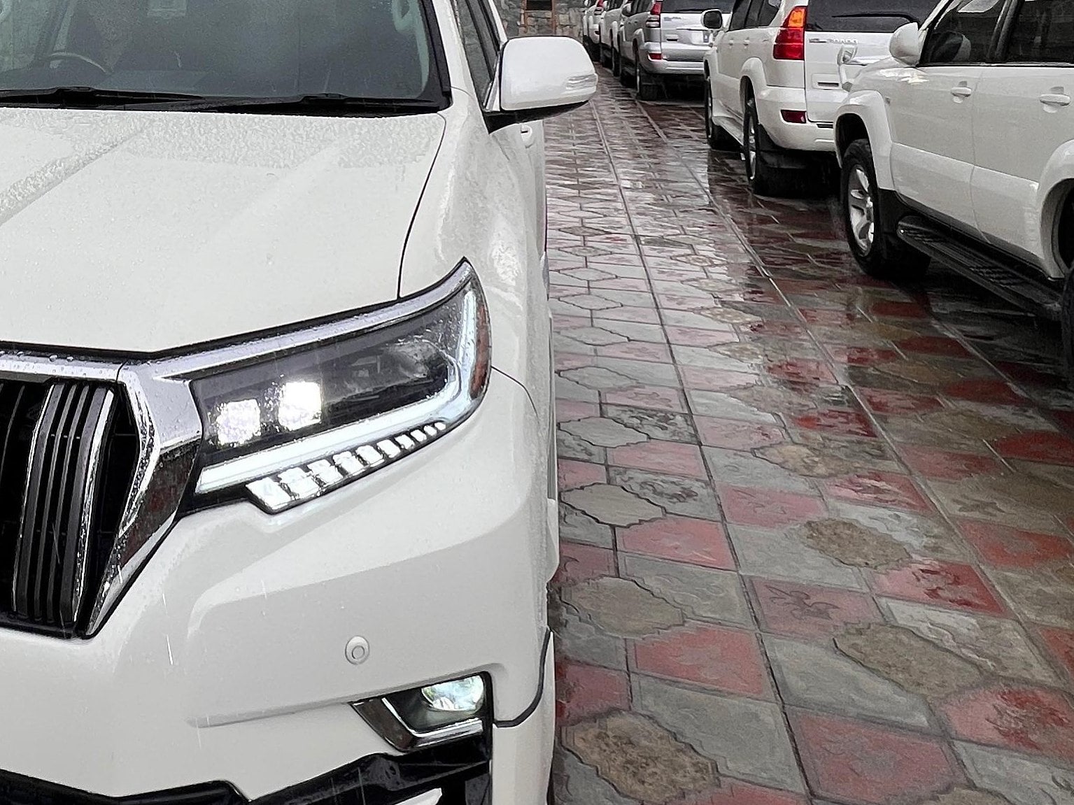 The front of a white Toyota Prado with its headlights on, beside a row of white Prados on a wet tiled drive in the rain